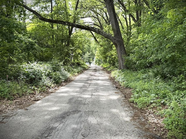 11 Park Rd, Webster, MA 01570 - view of road with a view of trees