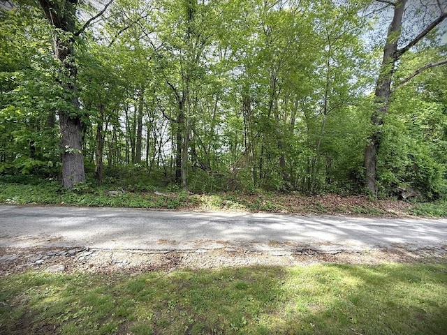 11 Park Rd, Webster, MA 01570 - view of asphalt road with a wooded view