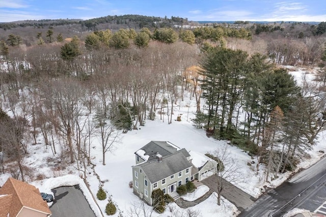 view of snowy aerial view