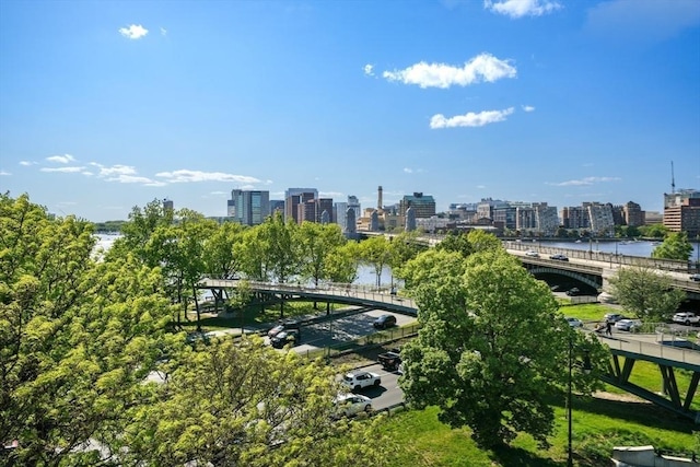 view of home's community with a water view