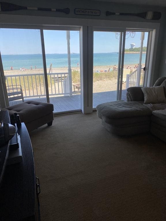 876 Shirley Unit 1, Winthrop, MA 02152 - living room with carpet and a water view