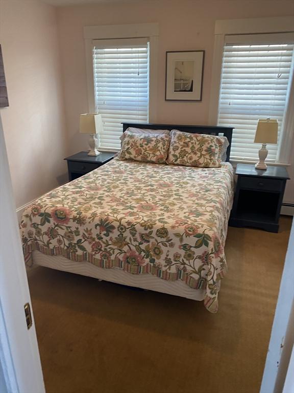 876 Shirley Unit 1, Winthrop, MA 02152 - view of carpeted bedroom