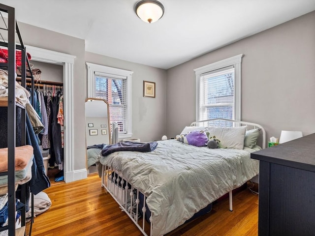 bedroom featuring multiple windows, wood finished floors, and a closet