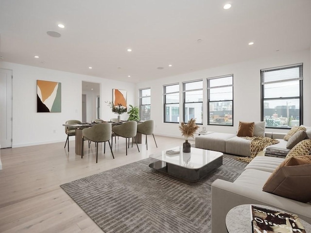 living room featuring a healthy amount of sunlight and light hardwood / wood-style floors