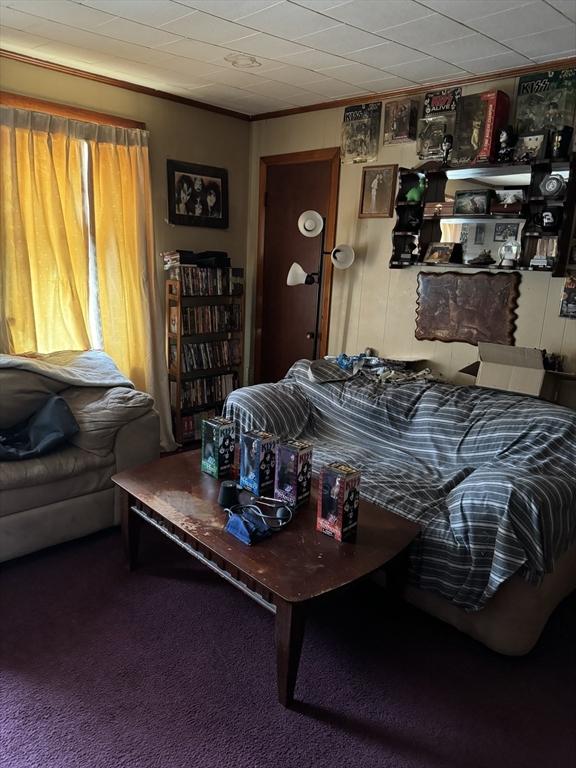 living room with carpet and crown molding