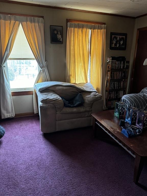 living room with crown molding and carpet flooring