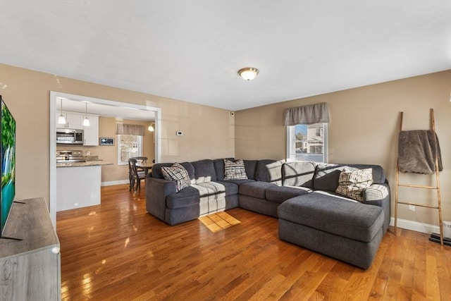 living room with wood-type flooring