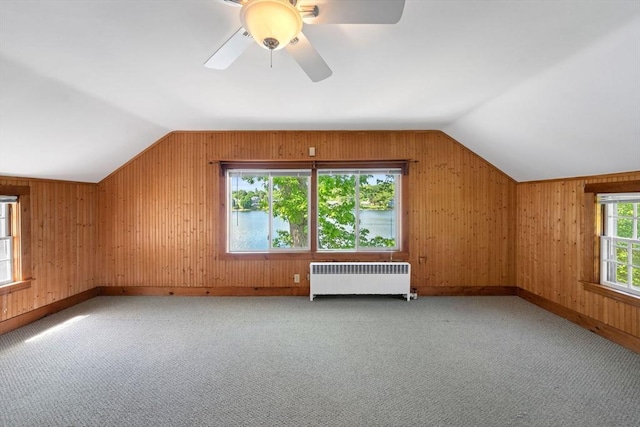 49 Bay View Dr, Shrewsbury, MA 01545 - additional living space with radiator, vaulted ceiling, wood walls, baseboards, and carpet floors