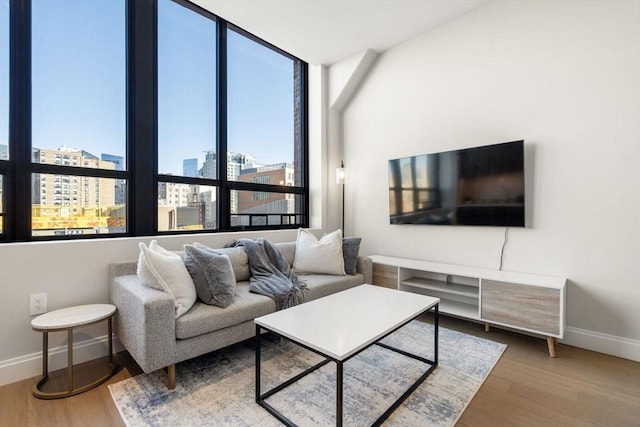 living room featuring wood-type flooring