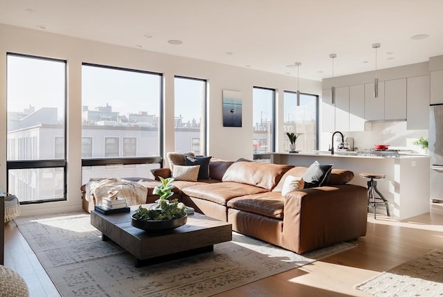 living room featuring sink and light hardwood / wood-style flooring