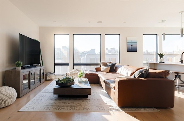 living room featuring light hardwood / wood-style flooring