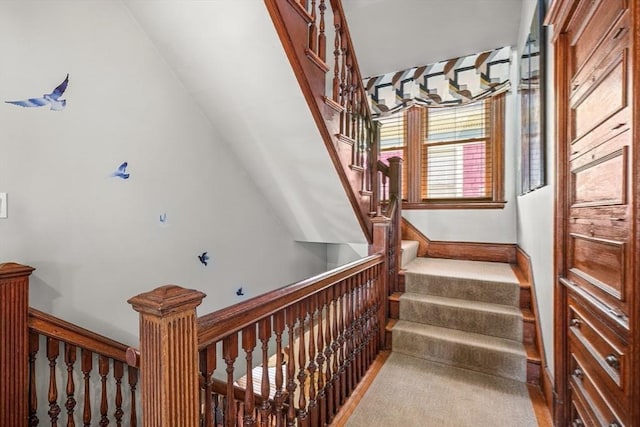 stairway with carpet floors