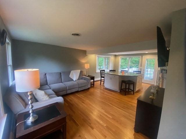 4 Erin Ln, Norfolk, MA 02056 - living area featuring light wood-type flooring