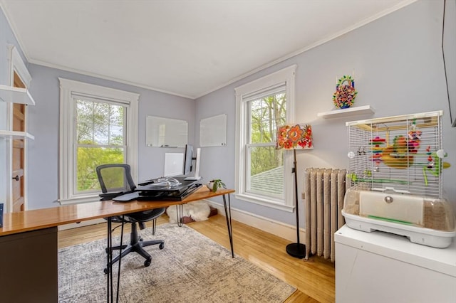 office space with crown molding, plenty of natural light, radiator heating unit, and wood finished floors