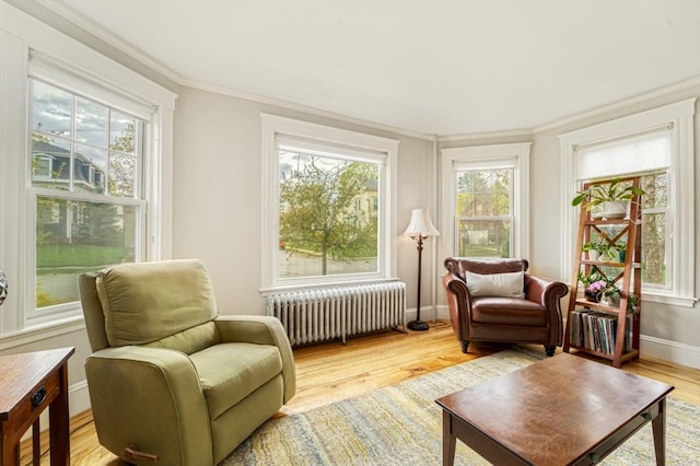 sunroom with radiator heating unit