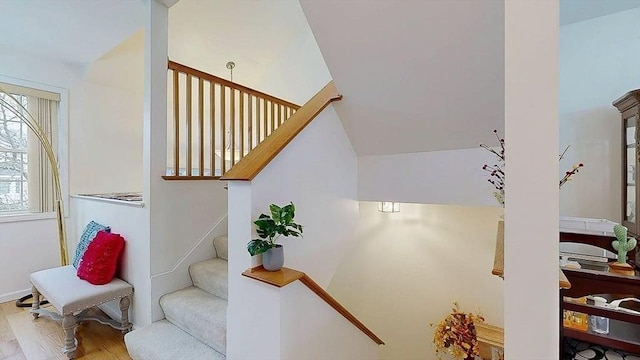 staircase with wood finished floors