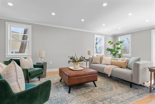 living room featuring crown molding and light hardwood / wood-style flooring