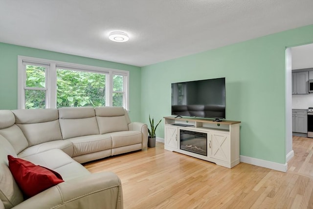 10-12 Spring Rd, Arlington, MA 02476 - living room with light wood-type flooring and a glass covered fireplace