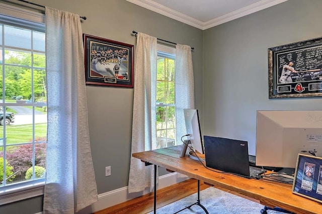 19 Mulberry Ln, Franklin, MA 02038 - office area featuring crown molding, wood finished floors, and baseboards