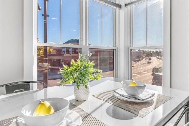 dining area with a wealth of natural light