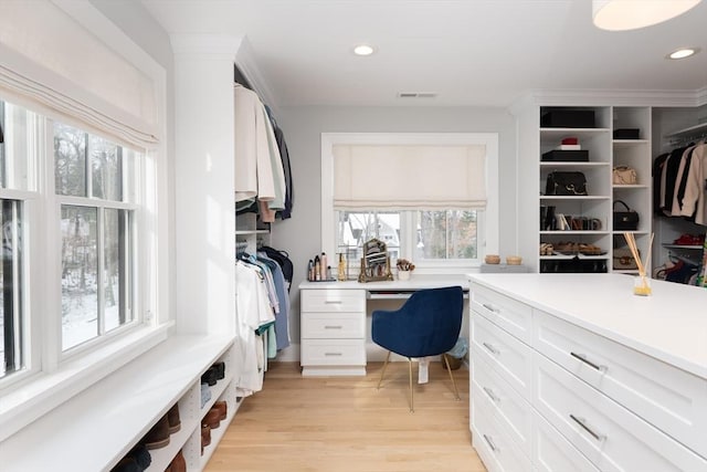 walk in closet with light wood-type flooring, visible vents, and built in desk