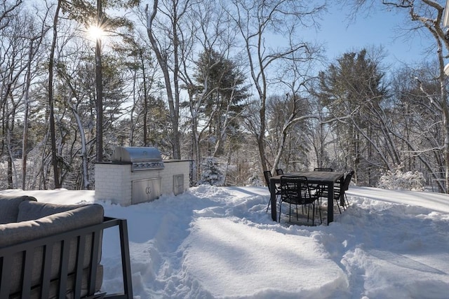 yard covered in snow with area for grilling