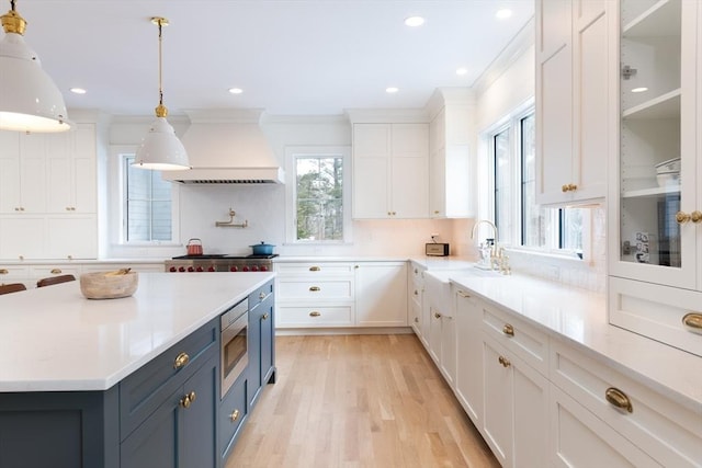 kitchen featuring blue cabinetry, custom exhaust hood, appliances with stainless steel finishes, white cabinets, and a sink