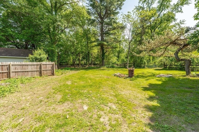 164 Leonard St, Agawam, MA 01001 - view of yard