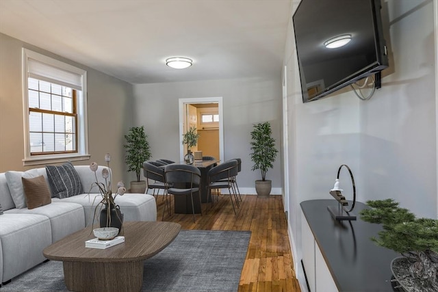 living room featuring dark hardwood / wood-style floors