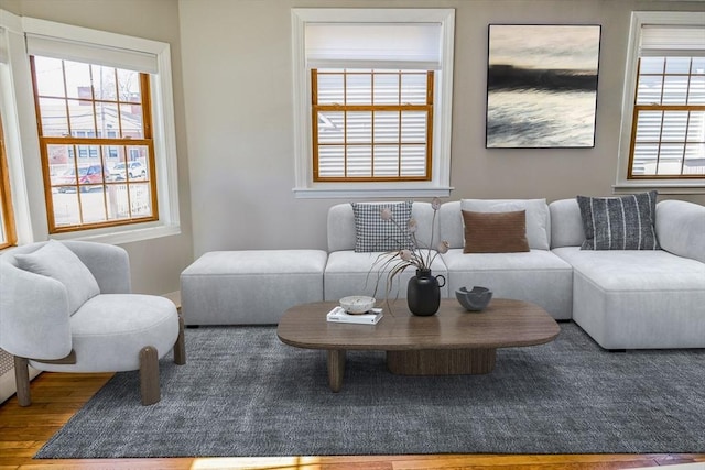 living room featuring wood-type flooring