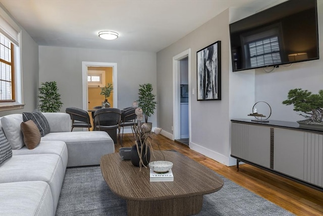 living room featuring wood-type flooring