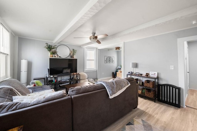 living area with beam ceiling, light wood-style floors, a ceiling fan, baseboards, and ornamental molding
