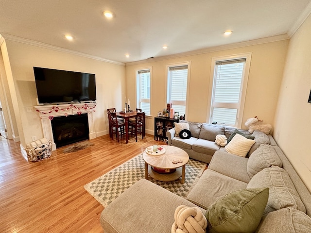 living room with light hardwood / wood-style floors and ornamental molding