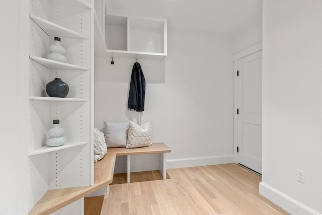 59 Mason Ter Unit 59, Brookline, MA 02446 - mudroom with wood finished floors and baseboards