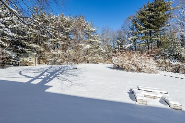 yard layered in snow with a storage shed