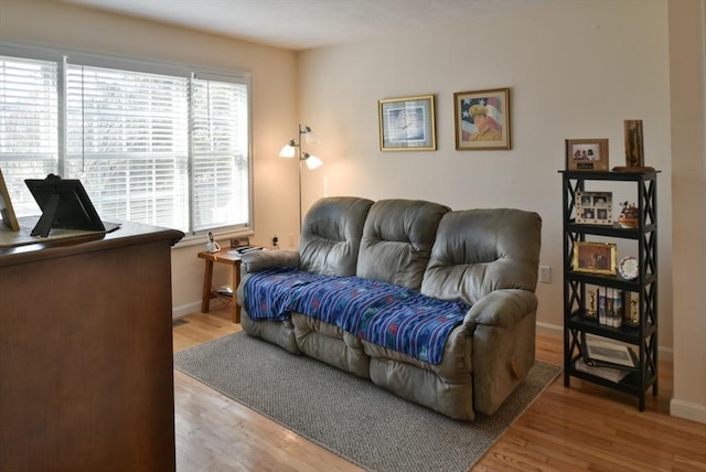 living room with hardwood / wood-style floors