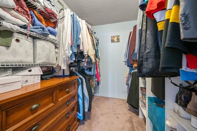 spacious closet with light carpet