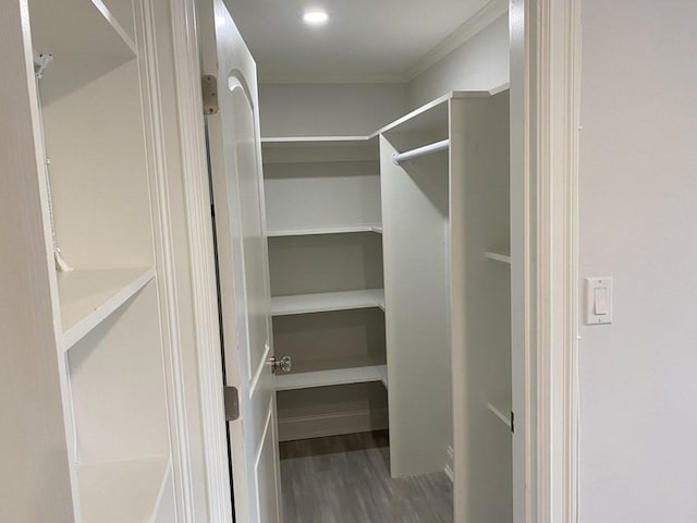 210 Hillside Ave Unit 37, Needham, MA 02494 - walk in closet with wood finished floors