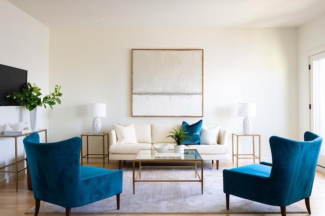 living room with light wood-type flooring