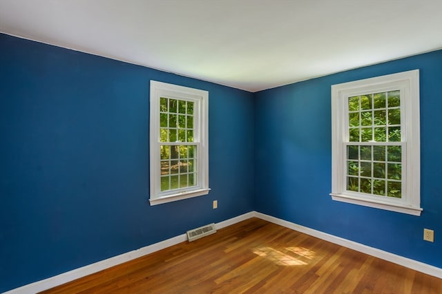 empty room featuring a healthy amount of sunlight and wood-type flooring