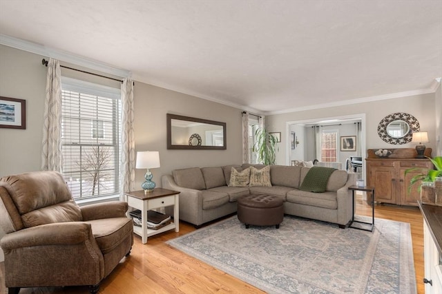 living room with crown molding, light hardwood / wood-style floors, and a healthy amount of sunlight