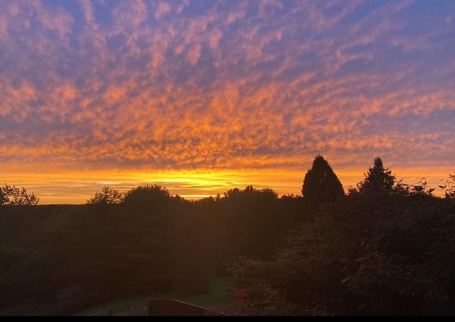 25 Piasta Rd, Dudley, MA 01571 - view of nature at dusk