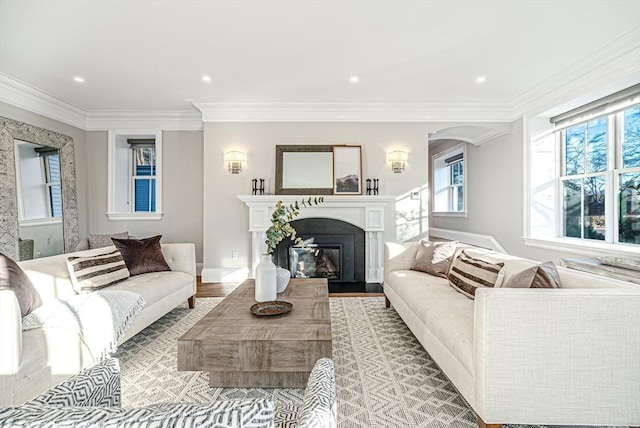 living room with crown molding and wood-type flooring