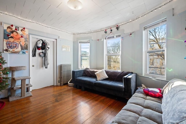 69 Conwell Ave, Somerville, MA 02144 - living room with radiator heating unit, rail lighting, hardwood / wood-style floors, and plenty of natural light