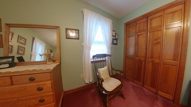 living area with dark colored carpet