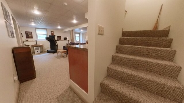 stairs with carpet flooring