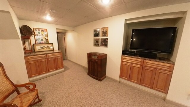 interior space with light colored carpet