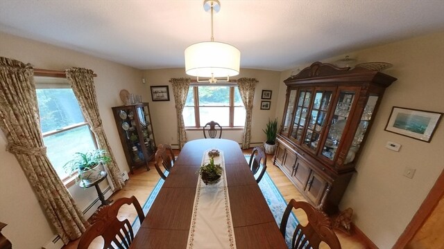 dining room featuring a baseboard radiator and light hardwood / wood-style floors