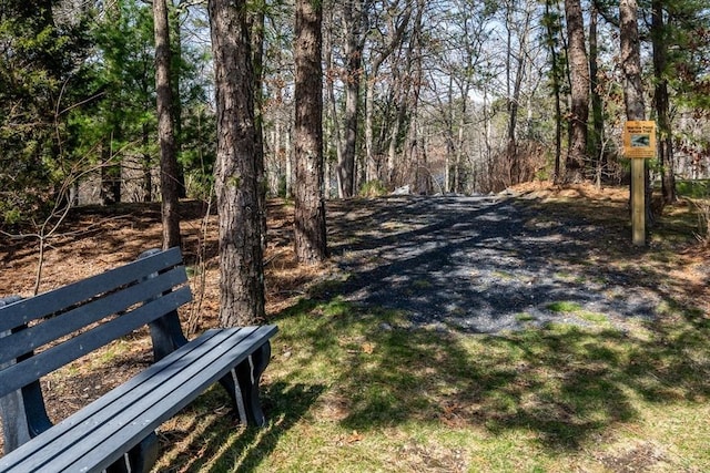 16 Twin Oaks Dr Unit 732, Mashpee, MA 02649 - view of home's community with a view of trees