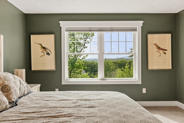 3 Chad Ln, Sterling, MA 01564 - carpeted bedroom featuring multiple windows and baseboards
